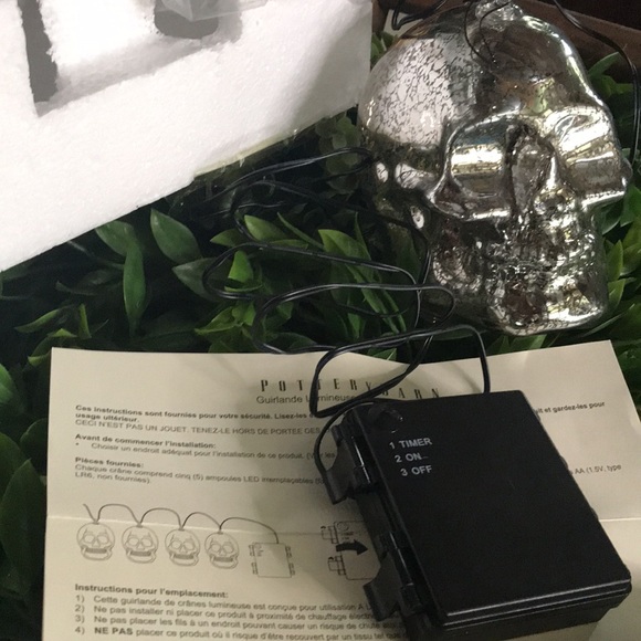 Pottery Barn Spooky Silver Mercury Style Warm Glow LED Light Up Skulls ππ· - Picture 6 of 17